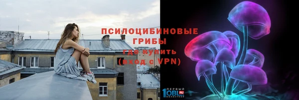 амф Сатка