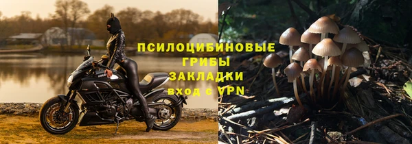 прущая мука Сафоново