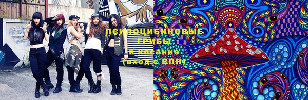 меф Саяногорск