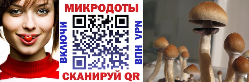 Купить закладки  Южа  Галлюциногенные грибы GOLDEN TEACHER 